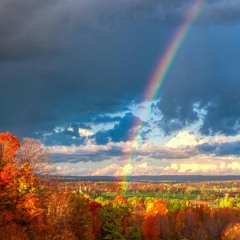 Four Seasons *autumn