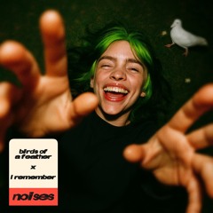 Birds Always Remember (NOISES’ Ravetool)