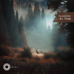 Quasaria - In time (Vaim Remix)