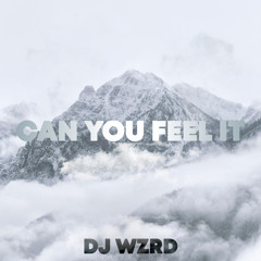 DJ WZRD - Can You Feel It