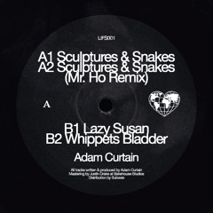 PREMIERE: Adam Curtain - Sculptures & Snakes (Mr Ho Remix) [Love International Floor Series]