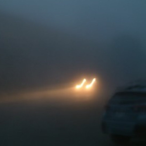 randymia, Joh! - gone by tomorrow (bex cover)