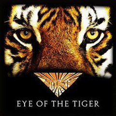Survivor - Eye Of The Tiger (Ritchie Steele 2024 Remix)