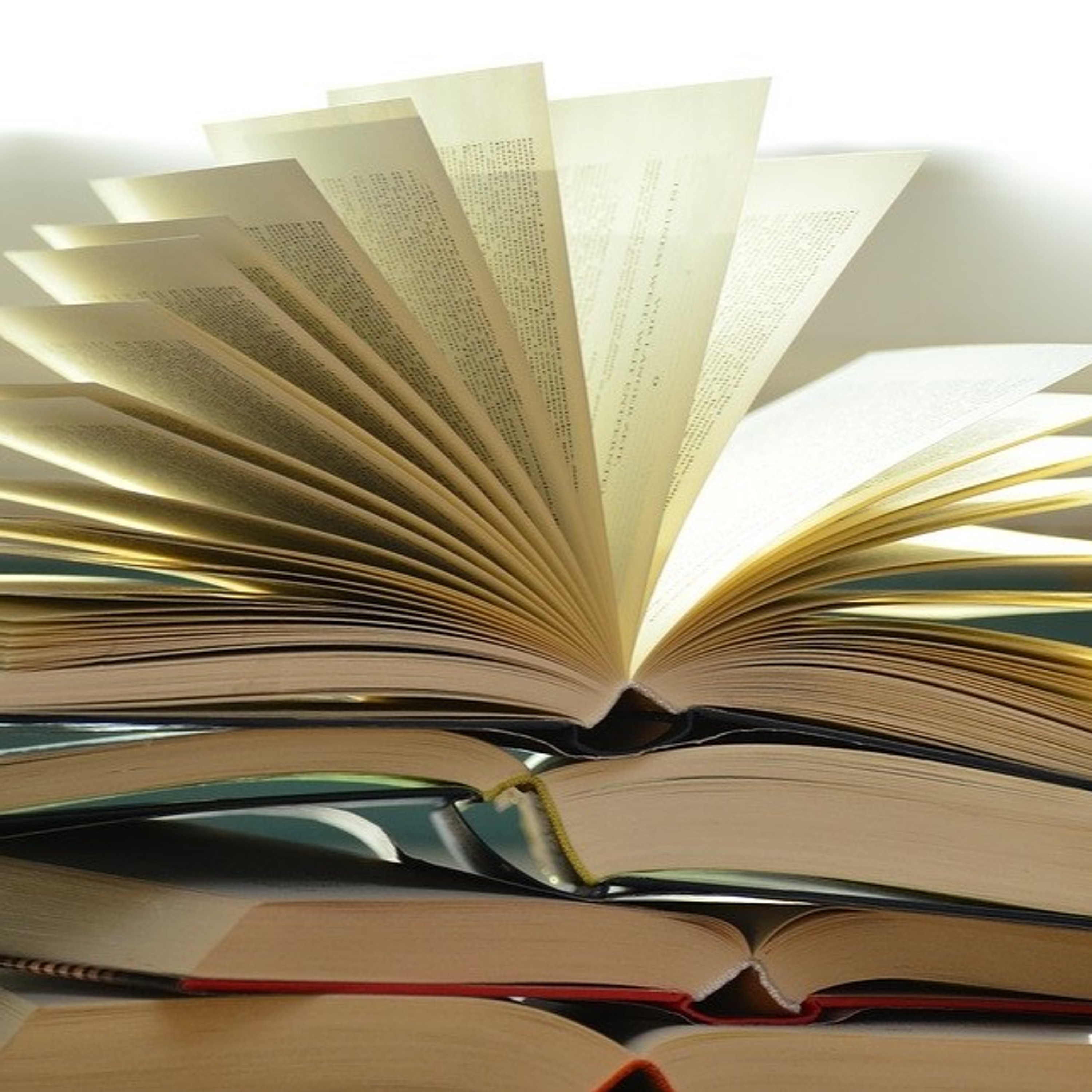 Leitura Viva - Ana Luisa Lacombe