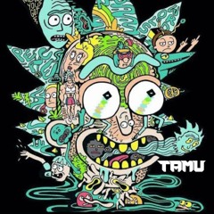 TAMU - Psy Anatomy Of Sound