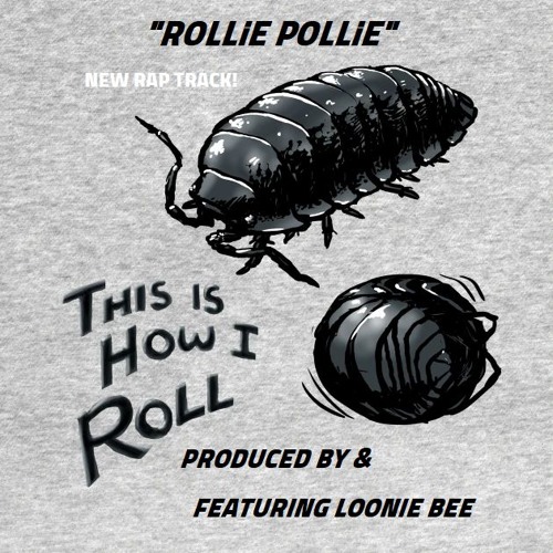 ROLLiE POLLiE ( Prod. By & Feat. LOONiE BEE )