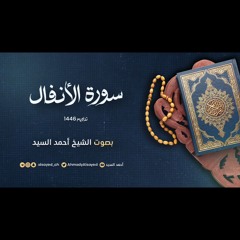 سورة الأنفال || ليالي رمضان ١٤٤٦ || الشيخ أحمد السيد