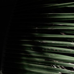 19.08.2023 B&R Birthday Bash