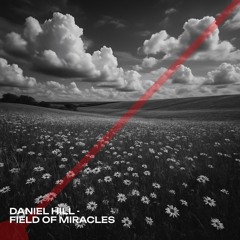 Daniel Hill - Field of Miracles