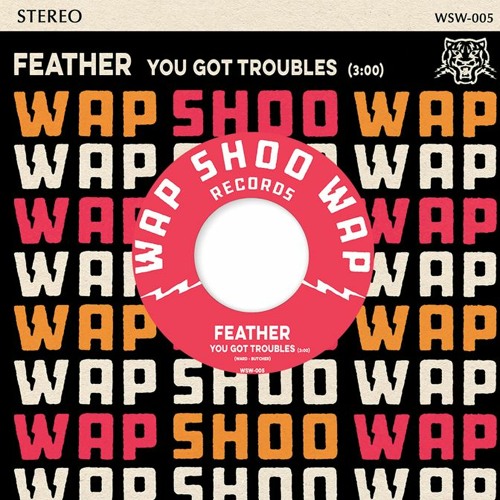 Feather - You Got Troubles