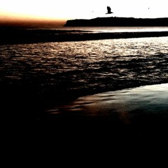 Follow Me To Sea (Land Ho!)