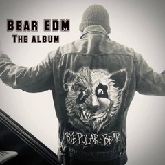 BYEPOLAR BEAR / PUSSY (bear edm)