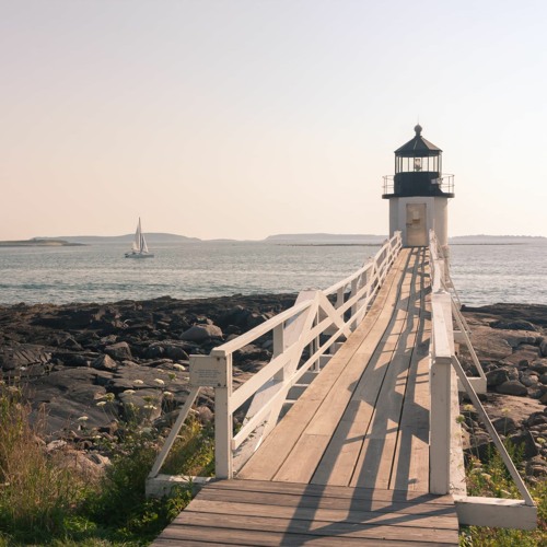 Week 16 - Miss The Point (210415)