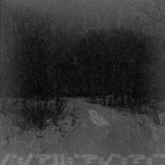 ЗiMn1Й_Л3с / slowed