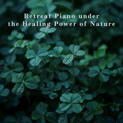 Serene Shades of Morning Light