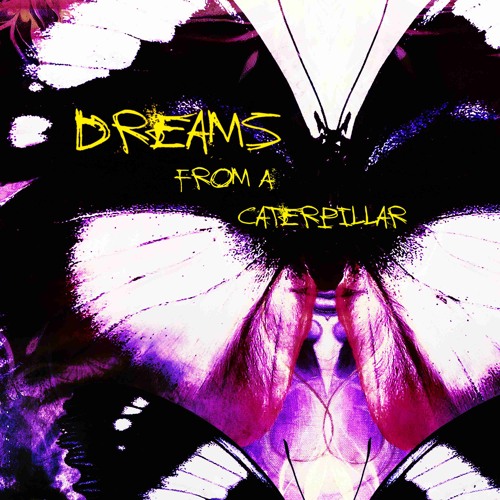 Dreams from a Caterpillar - Deep Dark Afro Progressive