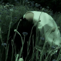 【INCORPOREAL LIFEFORM】WISHING STAR