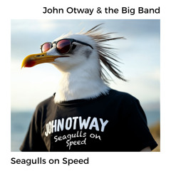 Seagulls On Speed