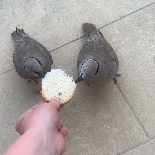 Separation Sickness (with Ri Coper)