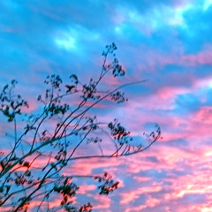 Marshal ╦̵̵̿╤─ (Korg Poly-61 Synthesizer, DDM-110 Drum Machine, Recorded on tape in 1987)