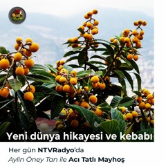 Yeni dünya hikayesi ve kebabı