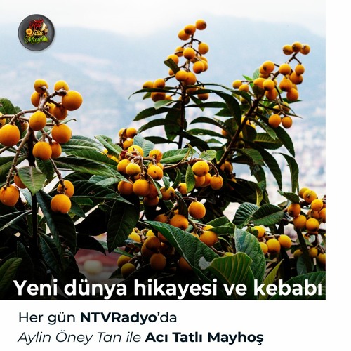 Yeni dünya hikayesi ve kebabı