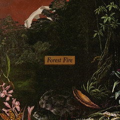 Forest Fire