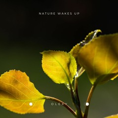 Nature Wakes Up