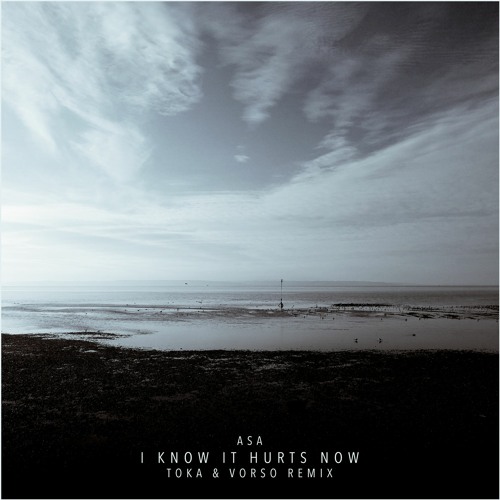 Asa — I Know It Hurts Now (Joon & Vorso Remix)
