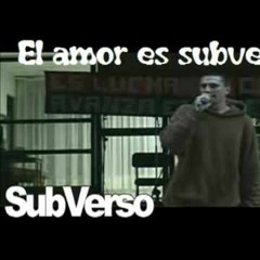 14 - Joven Combatiente