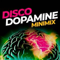 DISCO DOPAMINE | MINIMIX - RHINO SOULSYSTEM