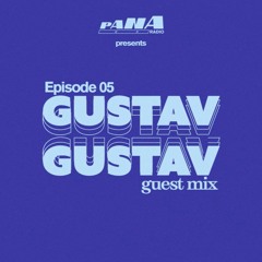 Episode 05 - Gustav Gustav Guestmix (Pure vinyl mix)
