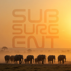 SUBSURGENT (Tech Breaks)