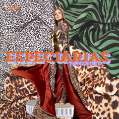 Claudia Leitte, B. Barreto, T. Love - Do Especiarias (LINO MASH)