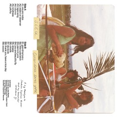 SIDE B (21:55) - Snippets