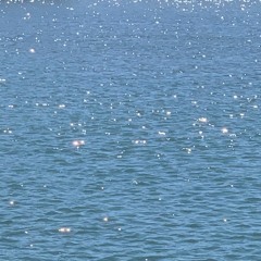 그런 태도 - 김한나 X 부또황