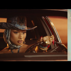 Megan Thee Stallion x Big X Tha Plug  Whenever the Largest MASHUP