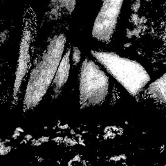 Dance 2 is the only one