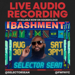 Selector Sean Live at Fun With Friends' Bashment!