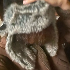 show time👻 ft. Piggy Banks