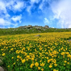 A Beautiful Day
