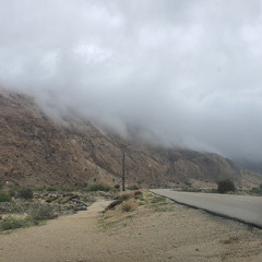 گوگوش مخلوق کنسرت