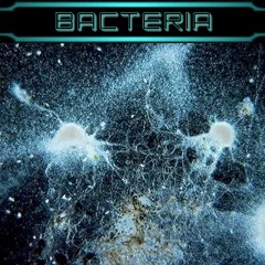 BACTERIA_-_U.F.O.