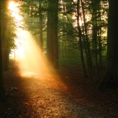 GUTERN MORGEN -BLACKWORKS RECORD- moin