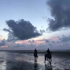 وَاعْبُدْ رَبَّكَ حَتَّىٰ يَأْتِيَكَ الْيَقِينُ | أحمد النفيس