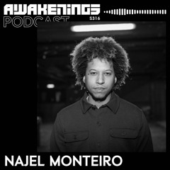 Awakenings Podcast S316 - Najel Monteiro