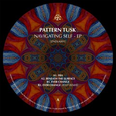 Premiere : Pattern Tusk - Ever Change (ZNDLA001)