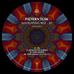 Premiere : Pattern Tusk - Ever Change (ZNDLA001)