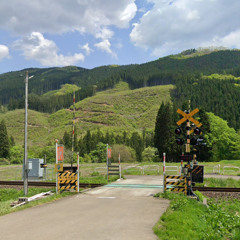 schulweg