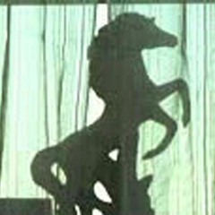 Over The Event Horizon